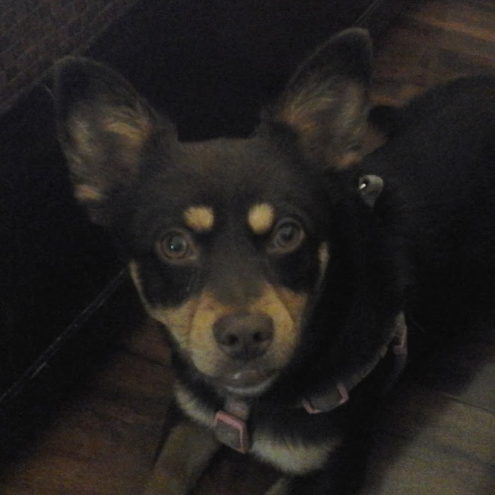 Meet your Posher, Kimberly